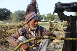 Online Betting Sites for Punjab: Complete 2026 Guide for Indian Players